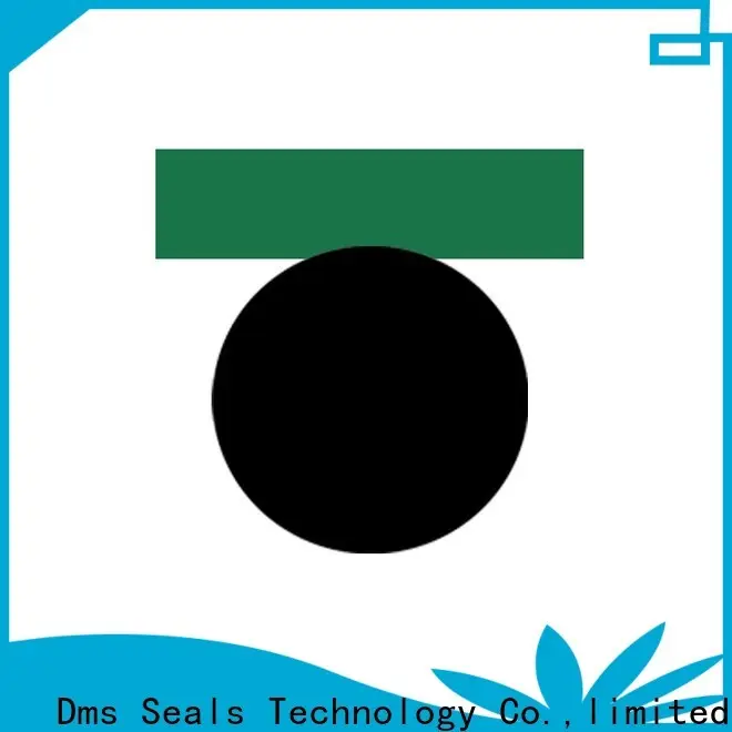 DMS Seals wholesale hydraulic seals factory for sale 1