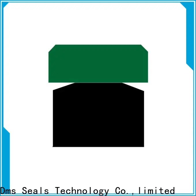 Wholesale rod seal installation glyd ring for sale 1