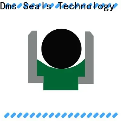 DMS Seals Top hydraulic ram seals online for pressure work and sliding high speed occasions 1