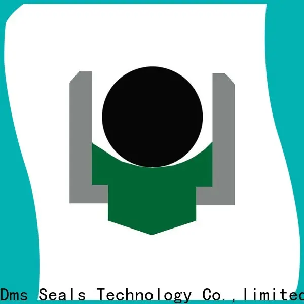 DMS Seals high temp oil seal Suppliers for construction machinery 1