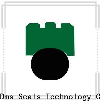 DMS Seals rotary lip seal operation for business for automotive equipment 1