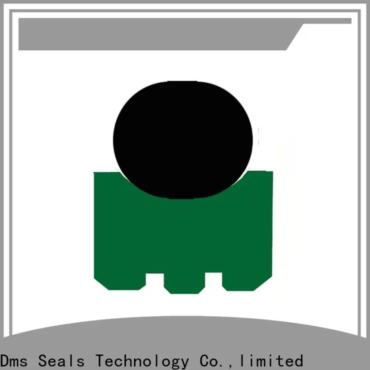 DMS Seals rotary seals manufacturer Supply for automotive equipment 1