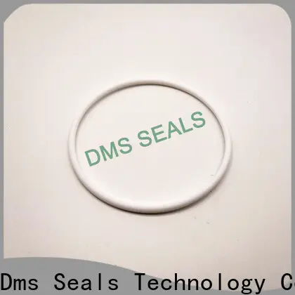 DMS Seals blue o ring material Suppliers in highly aggressive chemical processing 1