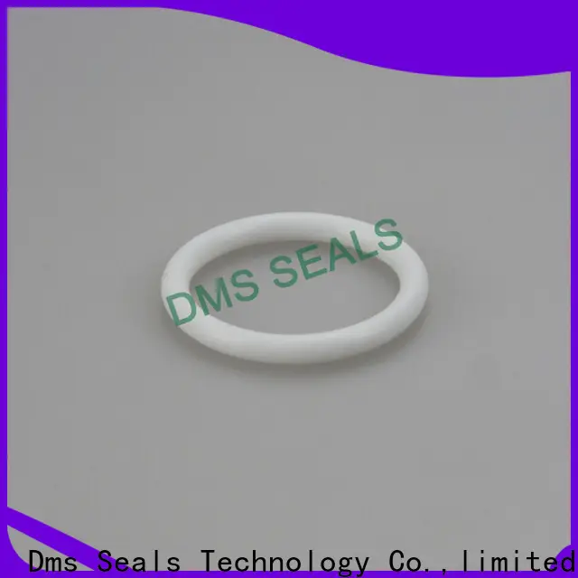 Best red silicone o ring Supply in highly aggressive chemical processing 1