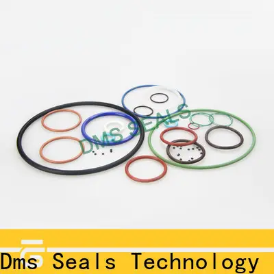 DMS Seals rubber seal ring manufacturers company in highly aggressive chemical processing 1