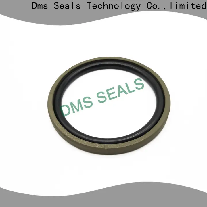 New hydraulic cylinder piston rings Suppliers for light and medium hydraulic systems 1