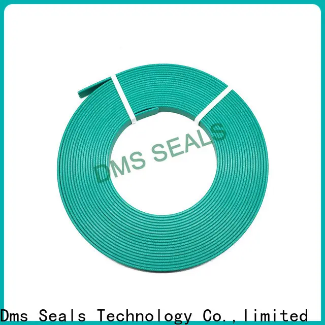 DMS Seals Top ball bearing terminology wear ring as the guide sleeve 1
