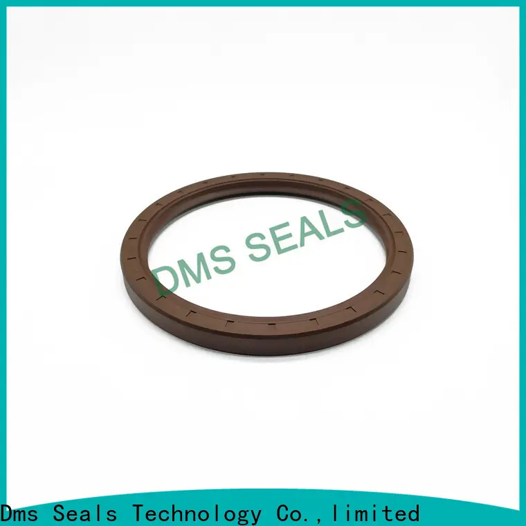 DMS Seals professional lip seal suppliers with integrated spring for housing 1
