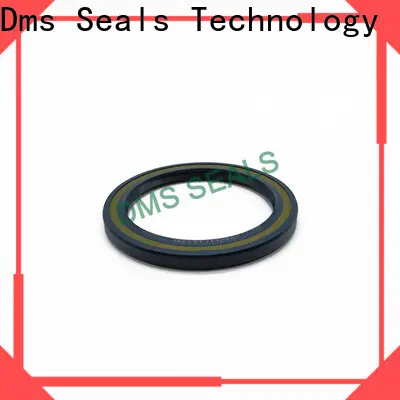 DMS Seals professional seal rotary shaft with integrated spring for sale 1