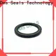 DMS Seals professional seal rotary shaft with integrated spring for sale 1