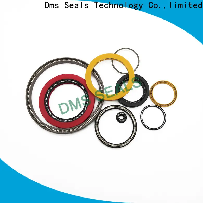 DMS Seals spring energized seals Supply for aviation 1