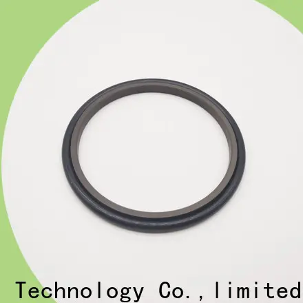 DMS Seals hot sale gearbox seals manufacturers glyd ring 1