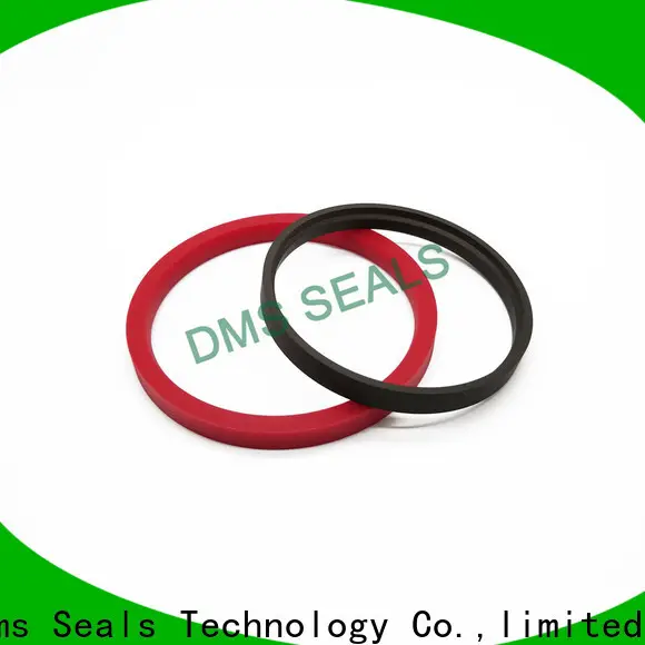 DMS Seals compact rubber seals and gaskets suppliers supplier 1