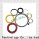 DMS Seals Quality spring energized ptfe seal wholesale for cementing 1