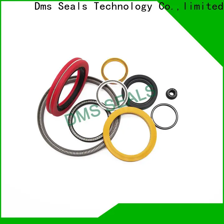 DMS Seals Bulk parker spring energized seals vendor for choke lines 1