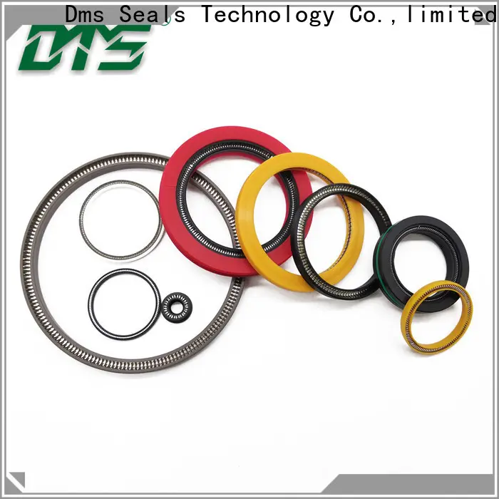DMS Seals Customized spring energized ptfe seal price for fracturing 1