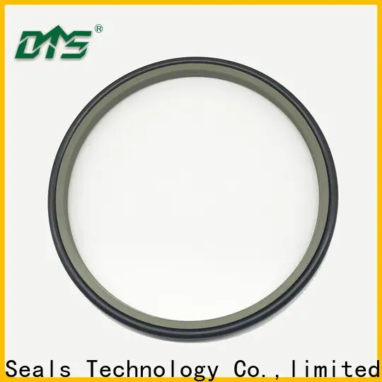 DMS Seals rubber wiper seal factory for hydraulic cylinder 1