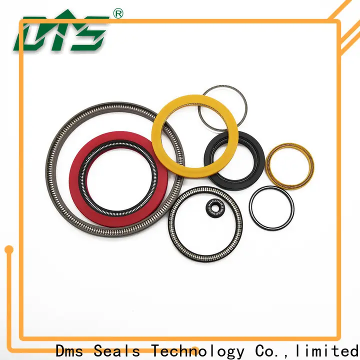 DMS Seals Customized spring energized ptfe seal wholesale for valves 1