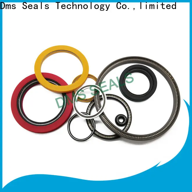 DMS Seals Best energized seal for valves 1
