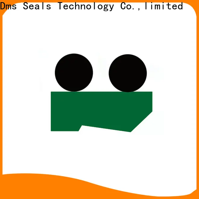 DMS Seals double wiper seal for sale for metallurgical equipment 1