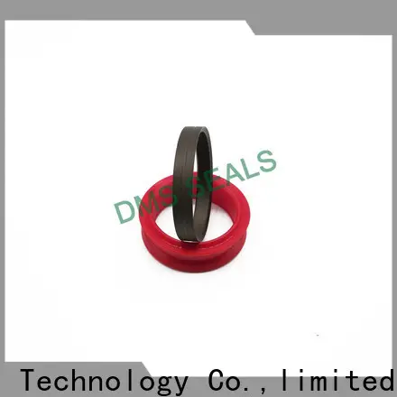 DMS Seals rubber seal molding supplier 1