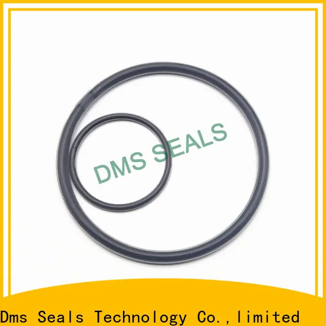DMS Seals Top rubber o rings ace hardware factory in highly aggressive chemical processing 1