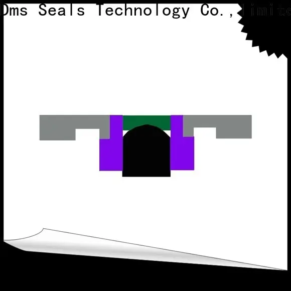 DMS Seals Top molded seals with nbr or fkm o ring for sale 1