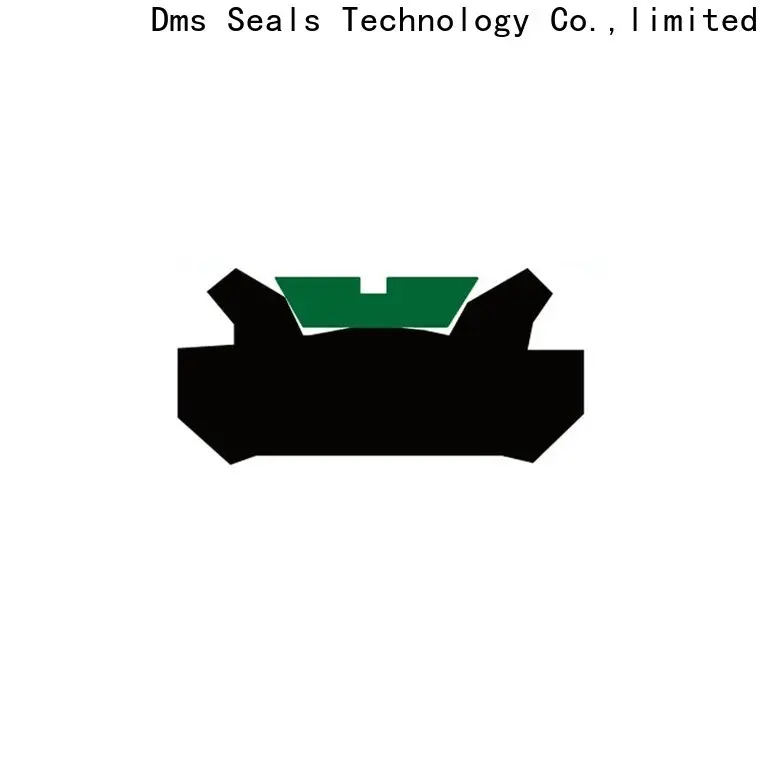 DMS Seals Top spareage piston seals manufacturer for pneumatic equipment 1
