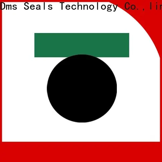 DMS Seals hydraulic packing and seals factory for pneumatic equipment 1