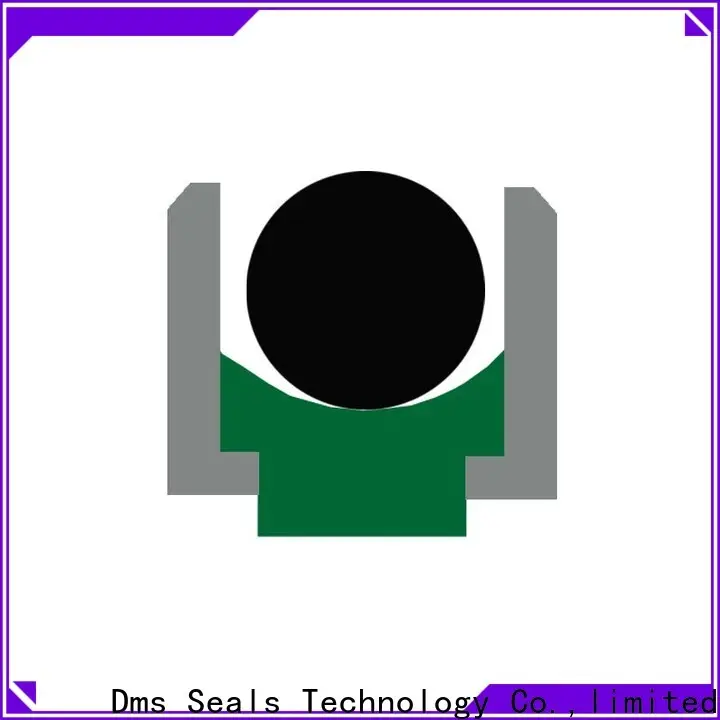 DMS Seals hydraulic packing kits to high and low speed 1