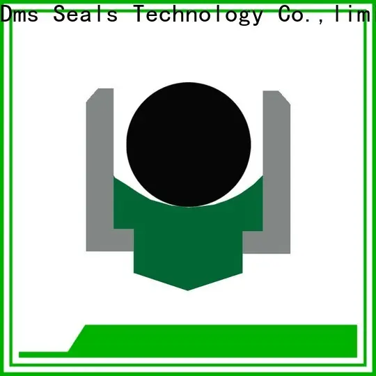 DMS Seals rotary lip seal application Suppliers for construction machinery 1