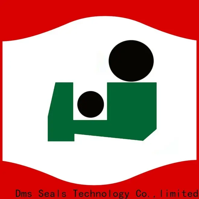 DMS Seals double wiper seal for business for agricultural machinery 1