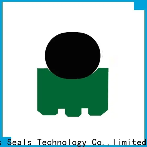 DMS Seals rotary shaft seal sizes manufacturers for construction machinery 1