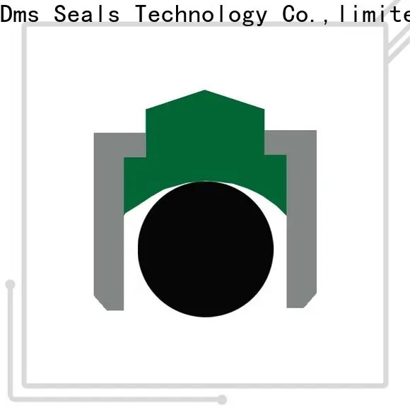 DMS Seals High-quality simmering oil seal factory for automotive equipment 1