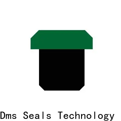DMS Seals New hydraulic valve seals Suppliers for light and medium hydraulic systems 1