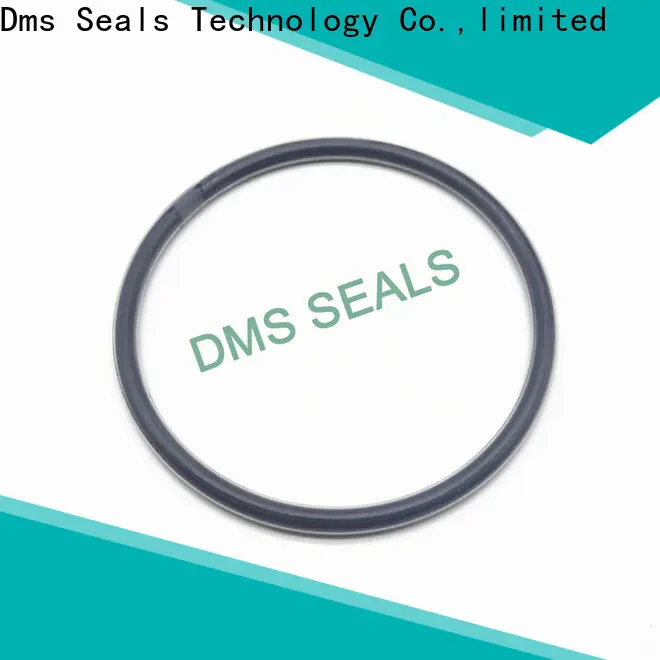 DMS Seals o ring 1.5 in highly aggressive chemical processing 1