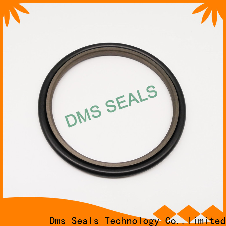 Ptfe Dowty Seal Manufacturer O Ring | DMS Seals