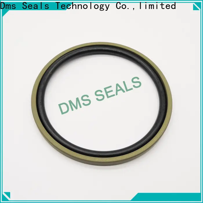 DMS Seals carbon seal manufacturer wholesale for larger piston clearance 1