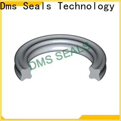 DMS Seals ring suppliers factory for sale 1