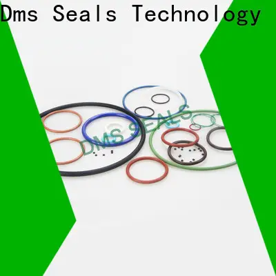 DMS Seals Top 005 o ring for business for static sealing 1