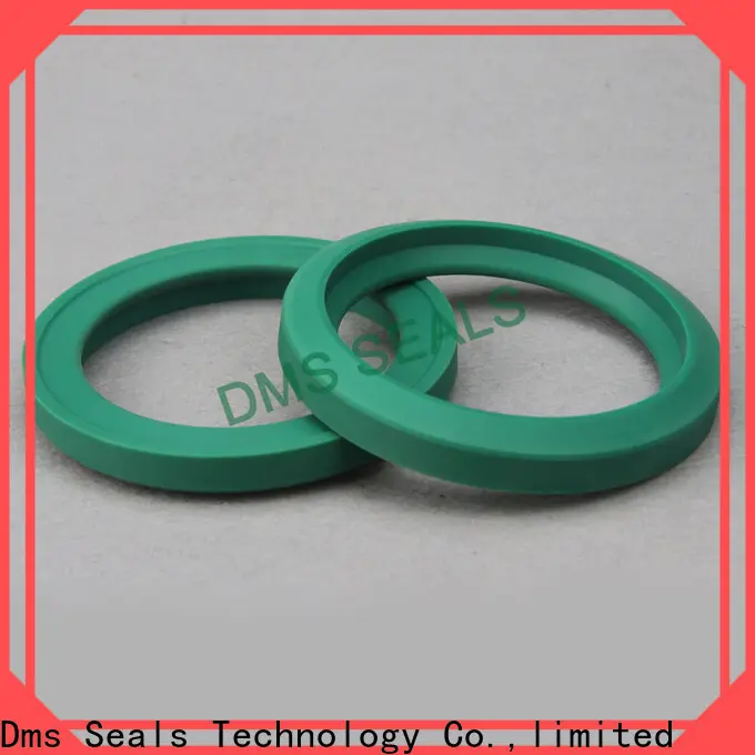 DMS Seals lip seal suppliers o ring for piston and hydraulic cylinder 1