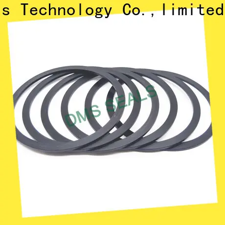 DMS Seals gasket manufacturers seals for liquefied gas 1