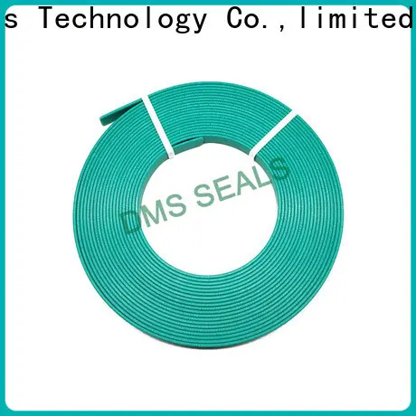 DMS Seals High-quality bearing manufacturing machine wear ring for sale 1