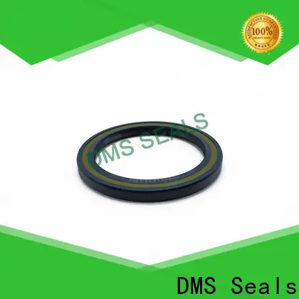DMS Seals oil seal market manufacturer for housing 1