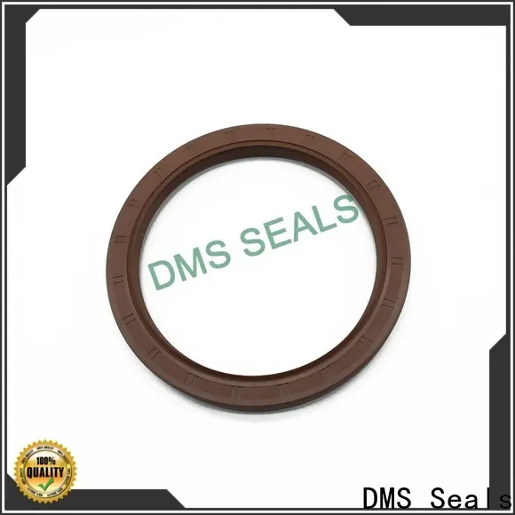 DMS Seals Professional shaft seal supply for housing 1