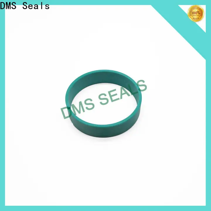 DMS Seals oil seal ring factory as the guide sleeve 1