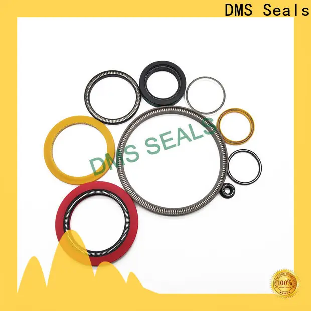 DMS Seals Latest rotary seal design supply for aviation 1