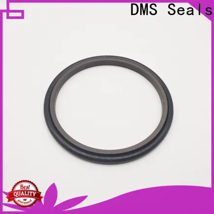 DMS Seals seal caps manufacturer wholesale for larger piston clearance 1