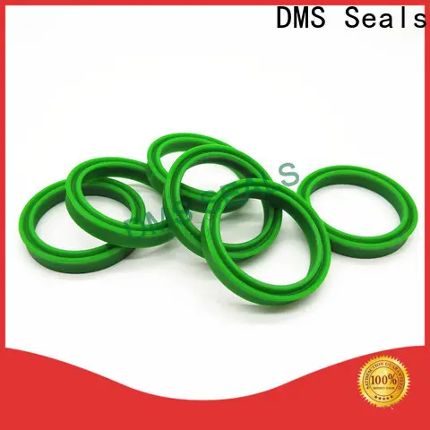 Custom mechanical engineering seal cost for larger piston clearance 1