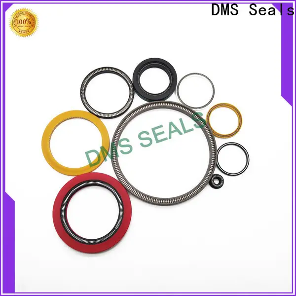 DMS Seals Custom spring energized teflon seals wholesale for choke lines 1